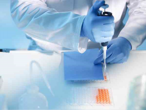 <b>长春供卵试管助孕：专业辅助生殖，点亮孕育希望，全程相伴</b>