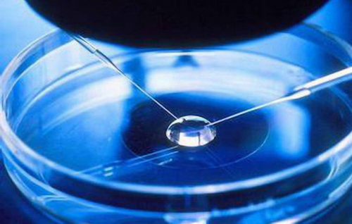 <b>淮安试管助孕：供卵代生与代怀，点亮生命希望之旅</b>