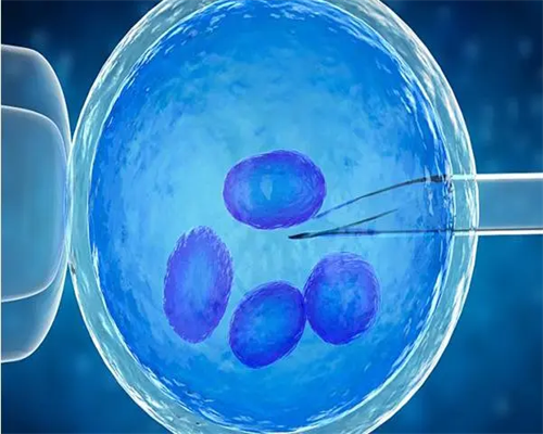 <b>孕博士供卵：探秘专业借卵助孕，重燃生育希望</b>