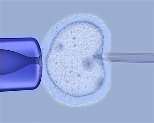 <b>42岁供卵试管：坚持与希望点亮生育之路</b>