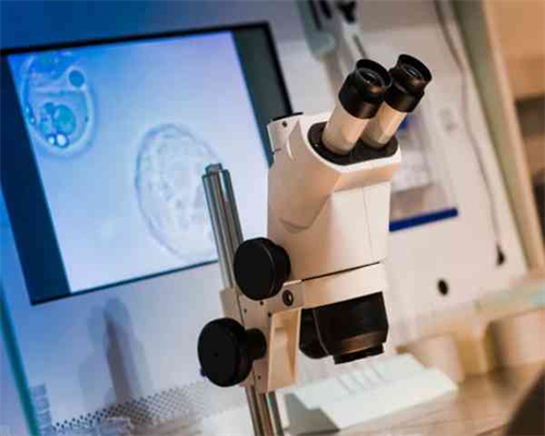 <b>孕道国际供卵试管：圆梦生子，专业助孕服务深度探究</b>