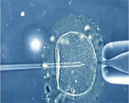 供卵试管：点燃生命希望，助您圆梦父母