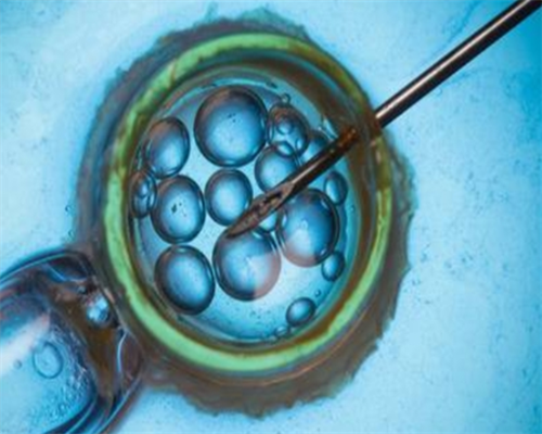 深圳供卵试管助孕全攻略：创新技术、高效服务与成功秘诀